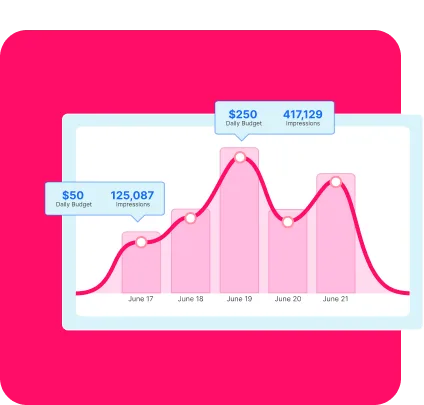 Set Budget & Schedule